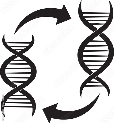 Dna replication process with double helix structure and circular arrows