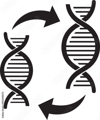 Dna replication process with double helix structure