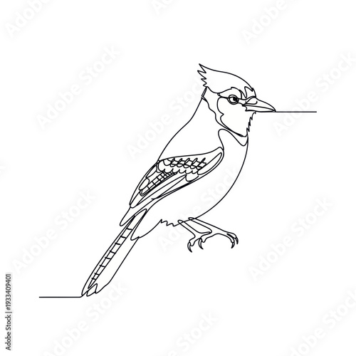 Single Line Drawing of a Blue Jay Bird, Minimalist Vector Art