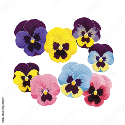Vibrant Pansy Flower Collection - Colorful Spring Blooms on White Background