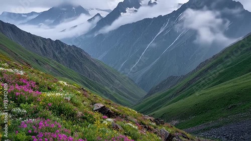 Vast mountain valley with colorful wildflowers and misty peaks