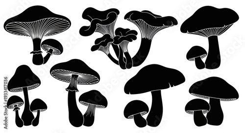 Set of Black Silhouette Mushrooms on White Background, Vector Illustration