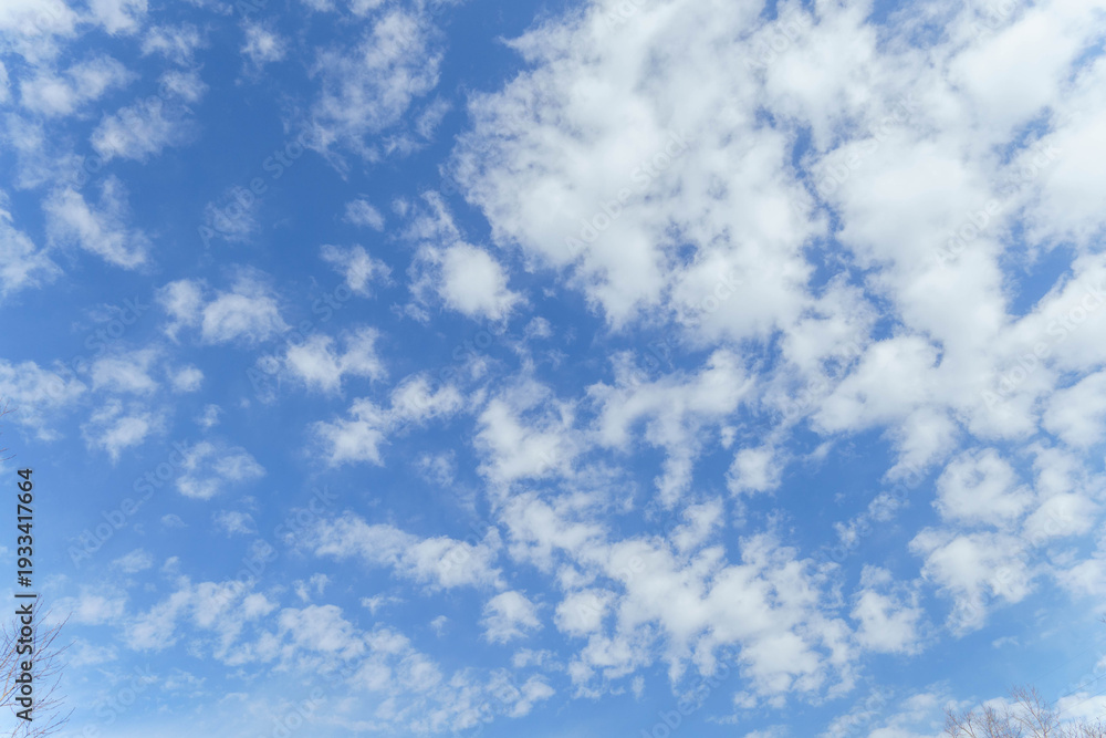 Obraz premium 冬の青空に白い雲