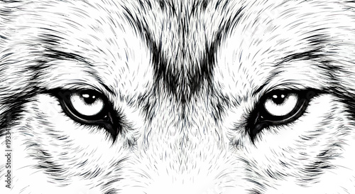 Intense Wolf Eyes Close-up, Wild Animal Portrait Sketch