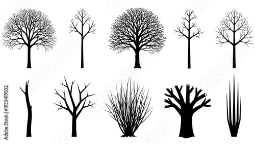 A comprehensive concept collection of diverse tree silhouettes, featuring bare branches and various shrub forms, perfect for intricate landscape designs and architectural visualizations