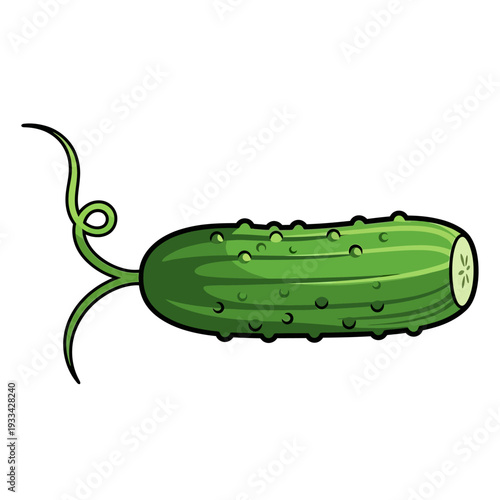 A vibrant, cartoon-style illustration of a fresh green cucumber with a curly vine and a cut end showing seeds.