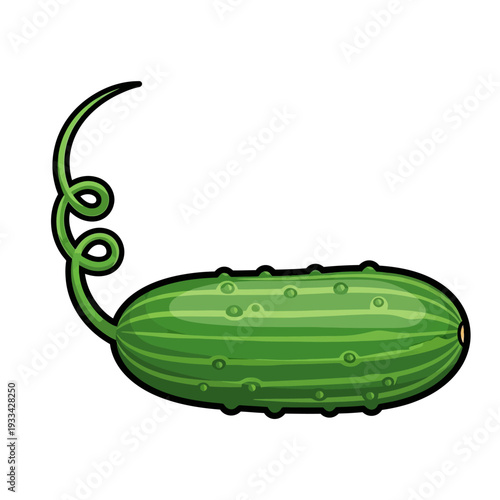 A vibrant green cucumber with a curly tendril extending from its stem, showcasing its bumpy texture and ribbed surface.