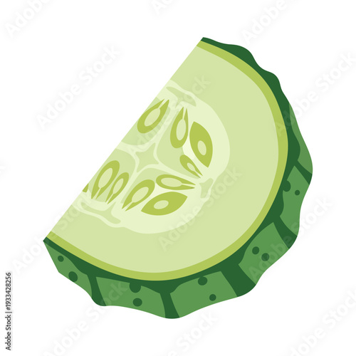 A single slice of fresh green cucumber with visible seeds and textured skin, isolated on a white background.