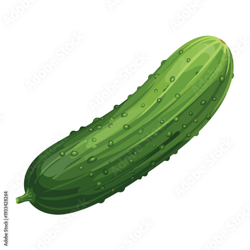 A vibrant, detailed illustration of a fresh, green cucumber with prominent bumps and a slightly tapered end.