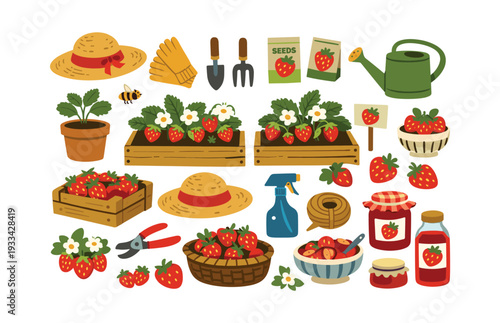 Various elements for growing and enjoying strawberries, including plants, fruit, canning, and gardening equipment