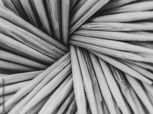 Sharp Geometry – Toothpicks Abstract. Monochrome hues.