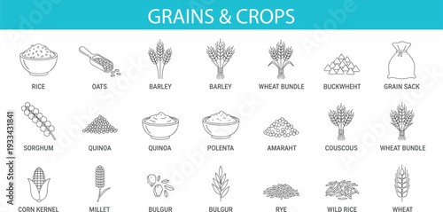 Assorted Whole Grains and Cereal Crops Line Art Icon Set Featuring Rice, Oats, Barley, Wheat, Quinoa, Sorghum and More Agricultural Products