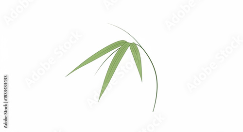 A serene bamboo leaf sways gently against a clean white background evoking a sense of natural tranquility and simplicity
