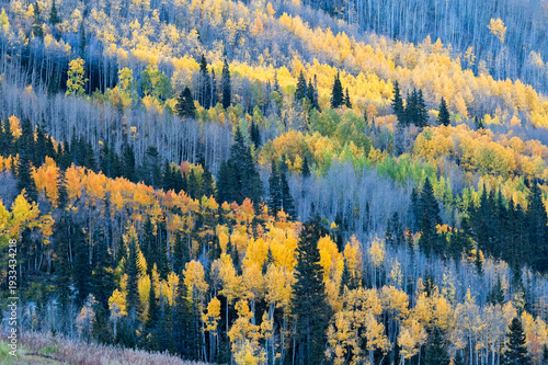 autumn landscape in the mountains