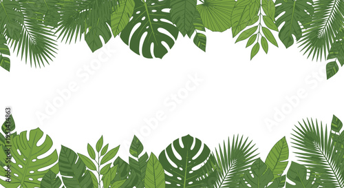 Green botanical leaves, palm trees, monstera on white background. Vector horizontal banner with tropical foliage