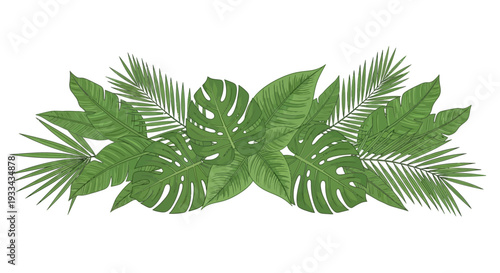 Green botanical leaves, palm trees, monstera on white background. Vector horizontal banner with tropical foliage