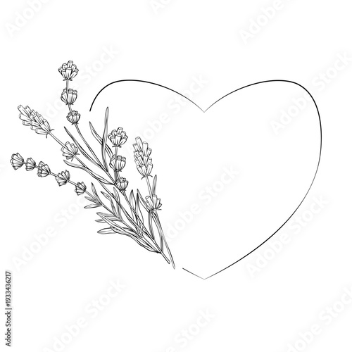 Lavender floral vector illustration with delicate branches forming a heart frame in fine black line art. Ideal for wedding cards, spa branding, cosmetic packaging and romantic natural design projects.