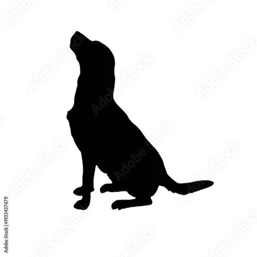 Single silhouette of a dog sitting and looking up, canine animal icon for pet care branding