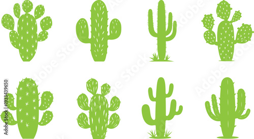 Diverse Green Cactus Silhouettes Vector Collection Set Isolated on White Background