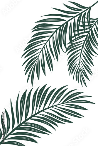 Minimalist dark green tropical palm leaves illustration, vector