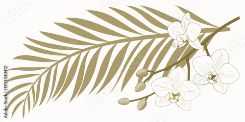 Elegant illustration of a palm leaf and orchid flowers, vector
