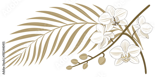 Elegant illustration of a palm leaf and orchid branch, vector