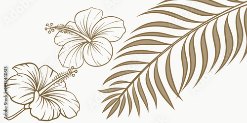 Tropical hibiscus flowers and palm leaf line art illustration, vector