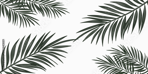 Minimalist tropical palm leaves illustration, vector