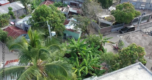 Wallpaper Mural Aerial view of a suburban neighborhood showcasing a residential area filled with houses and lush greenery Torontodigital.ca