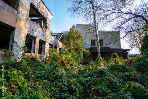 Ruined industrial building overgrown by plants. Nature and abandoned architecture, green post-apocalyptic concept