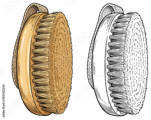Detailed illustrations of grooming brushes showcasing bristles and handles from a front viewpoint
