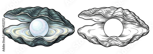 Illustration of an oyster opening to reveal a pearl inside, shown in both colored and line art styles