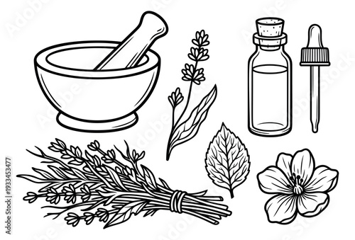 Hand drawn line art herbal medicine set featuring a mortar and pestle, essential oil bottle, lavender, and botanical elements for natural health and wellness