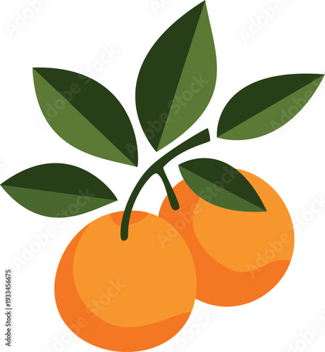 Fresh orange fruit single two leaves branch ripe citrus vector illustration simple style isolated white background healthy food juice graphic design packaging advertising element