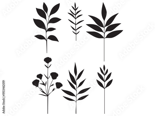 set of black silhouettes of leaves