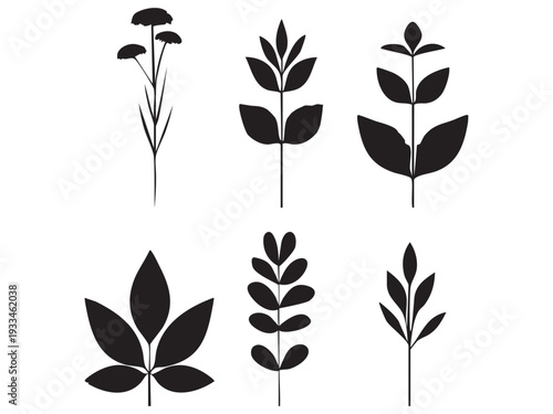 set of black silhouettes of leaves