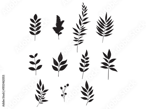 set of unique laurel wreaths vector 
