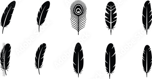 A collection of various bird feather silhouettes including a peacock feather on a white background.