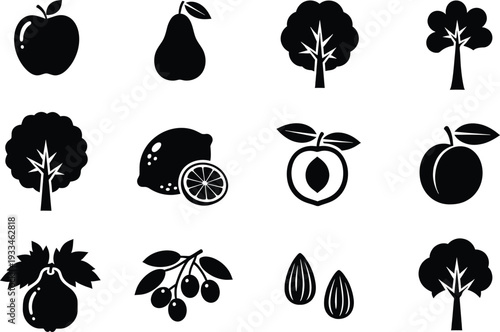 Set of twelve black and white icons featuring various fruit types and tree silhouettes on white