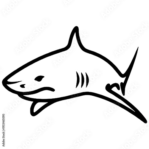 Outline shark silhouette