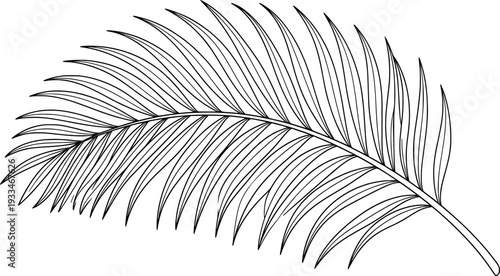 Minimalist Palm Leaf Vector Illustration, Black and White Tropical Nature Art
