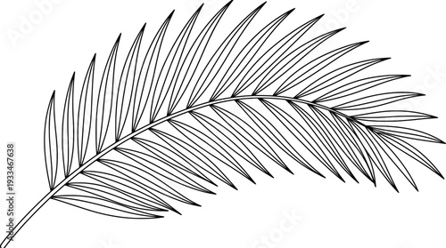 Minimalist Palm Leaf Vector Illustration, Black and White Tropical Nature Art
