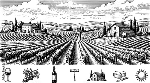 Hand draw vineyard tuscany landscape farm field in monochrome sketch style. Vintage panoramic vector illustration.
