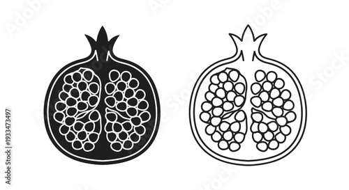 Pomegranate fruit illustration Vector