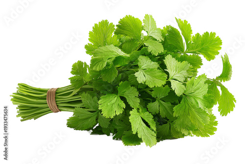 parsley isolated on a transparent background