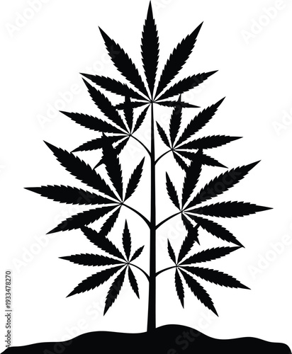Cannabis plant silhouette on hill background for medical or recreational marijuana design concepts