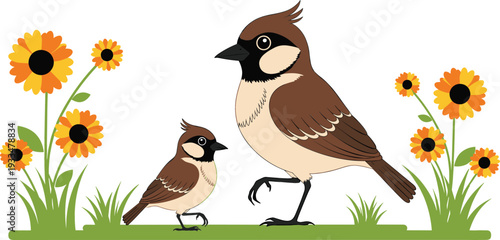 Beautiful vector illustration of two brown sparrows standing in a spring meadow with blooming orange sunflowers and green grass on a white background.