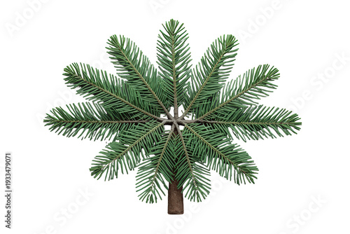 Fir tree branches forming festive decoration, green needles creating abstract christmas plant element on transparent background