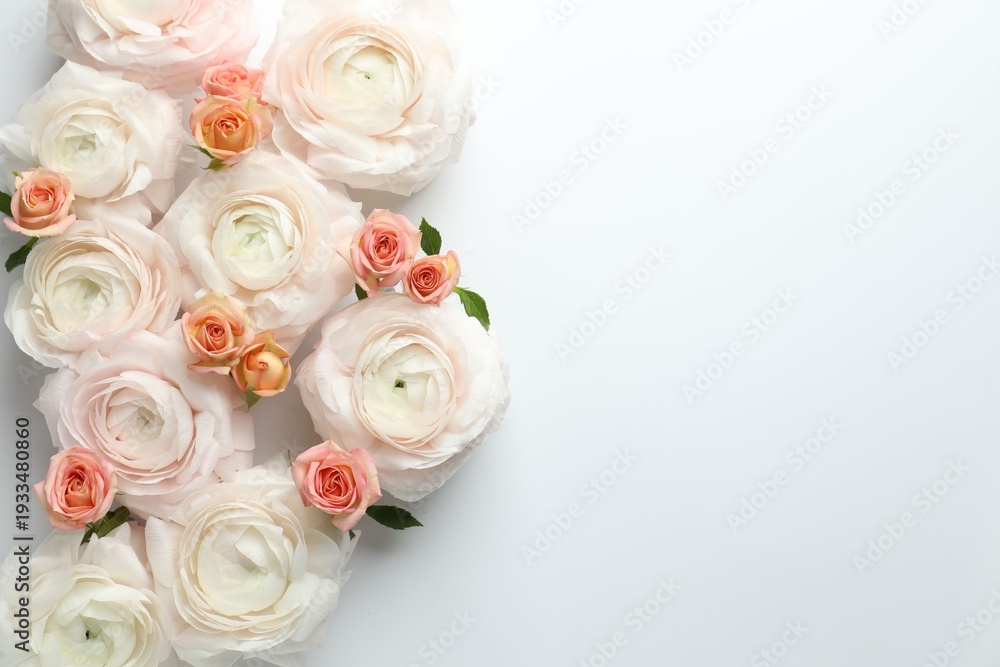 Obraz premium Beautiful ranunculuses and roses on white background, flat lay. Space for text