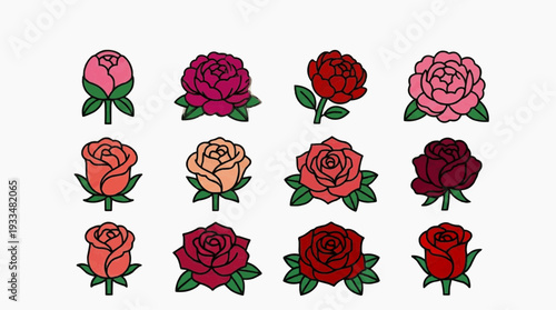 Various color roses in a delightful arrangement, showcasing different stages of blooming and hues